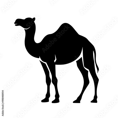 Black silhouette of a camel standing alone on a white background
