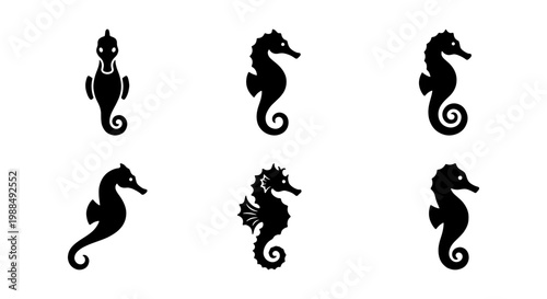 Photos Minimalist seahorse silhouette icons, black aquatic animal vector set of 6 eleme