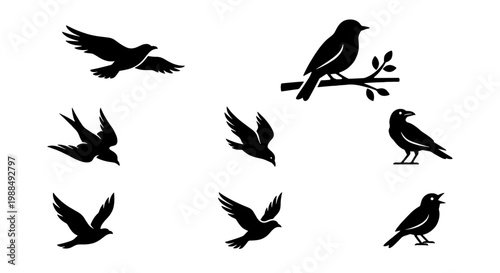 Black bird silhouettes collection, set of 8 flying and perched avian icons, minimalist crow and sparrow vector shapes for nature design
