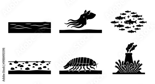 Deep sea marine life icons, black silhouette ocean creature set, aquatic ecosystem and hydrothermal vent vector elements for marine biology