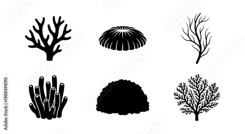 Black coral silhouette icons, set of 6 marine life vector elements, underwater sea reef plant shapes, minimalist aquatic nature illustrations