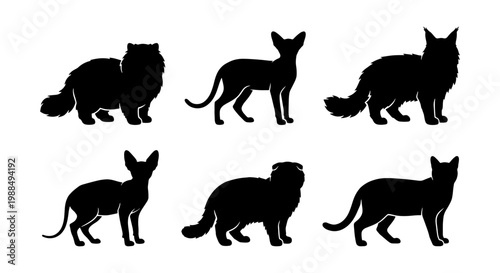 Black cat silhouettes set of 6 vector icons, various feline breeds including Persian and Siamese, domestic cat breed collection for pet shop branding