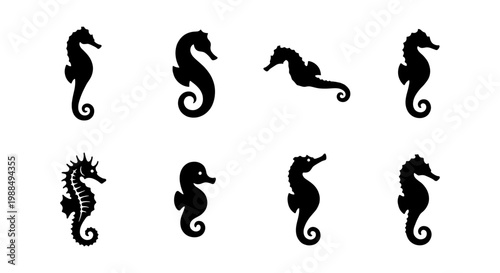 Black seahorse silhouette collection, set of 8 aquatic animal icons, minimalist sea horse vector shapes for marine life branding and ocean logos