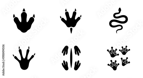 Reptile footprint silhouettes collection, black lizard and dinosaur paw prints, snake trail and amphibian tracks, 6 vector icons for nature design