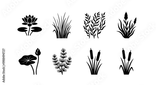 Black aquatic plant silhouettes set, 8 vector icons of pond vegetation and river flora, lotus flower and cattail reed symbols for nature design