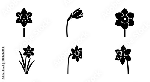 Daffodil flower black silhouette icons, set of 6 narcissus floral vector elements, spring botanical garden plant symbols for logo design