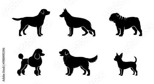 Dog breed silhouettes collection, 6 black canine vector icons, purebred domestic pets profile set, animal side view graphics for logos and signage