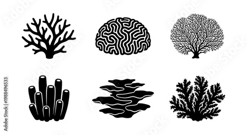 Black coral silhouette icons set, underwater sea reef organic shapes, 6 marine life vector elements, aquatic nature illustrations for logo design