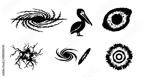 Vintage black ink illustrations set, hand drawn spiral galaxy and pelican bird icons, grunge celestial vortex and cracked earth vector elements