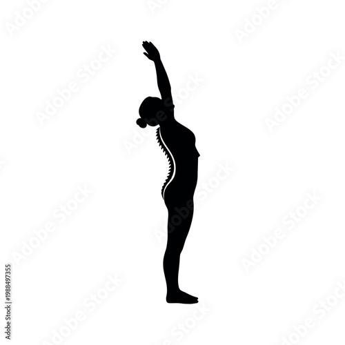 Silhouette of a woman with spine highlighted stretching upwards.