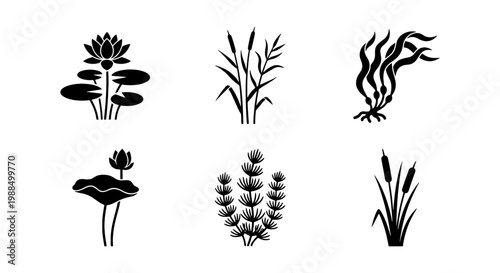 Tablou pe pânză Black aquatic plants silhouette icons, set of 6 water flora vector elements, pon