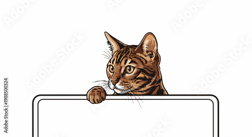Striped cat peers over blank sign with paw resting on edge