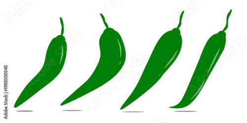 Set collection of chili pepper illustrations. Hand-drawn images of unripe chili pepper plants.