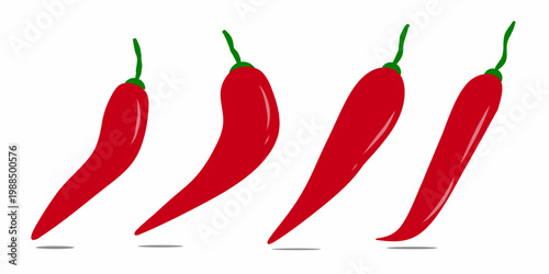 Set collection of chili pepper illustrations. Hand-drawn images of ripe chili pepper plants.