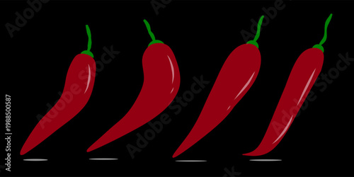 Set collection of chili pepper illustrations. Hand-drawn images of ripe chili pepper plants.