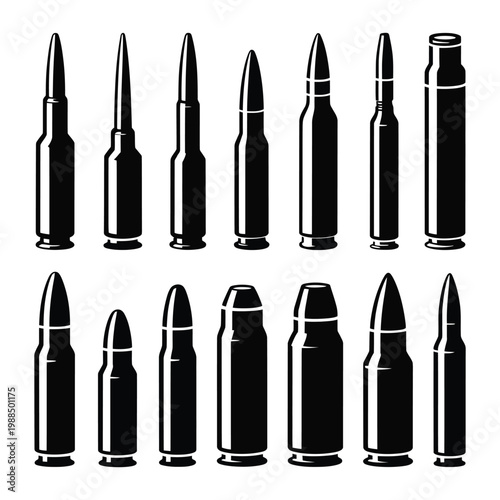 Collection of different types of bullets and cartridges for firearms, military and hunting purposes illustration.