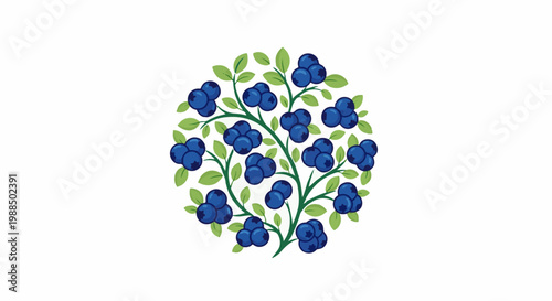 Blueberries arranged in a circular pattern with green leaves