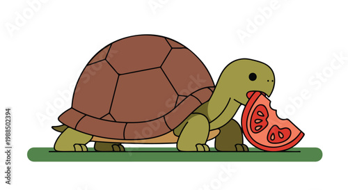 A cute cartoon turtle with a brown shell eating a slice of fresh red tomato (1)