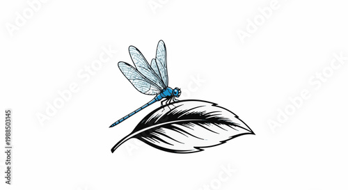 Blue dragonfly rests on a black and white drawing of a leaf