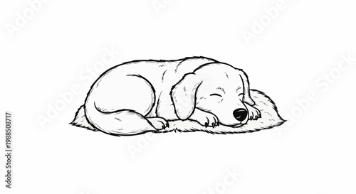 Line drawing of a peaceful dog sleeping on its furry bed