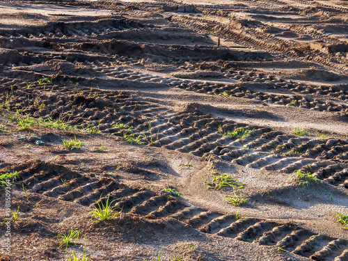 Deep tracks of heavy machinery across a sandy lot, construction site of a future house in a suburban residential development on a sunny morning in southwest Florida. Motifs of work and transformation.