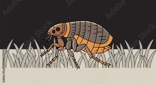 Stylized illustration of a flea walking through grass under a dark sky