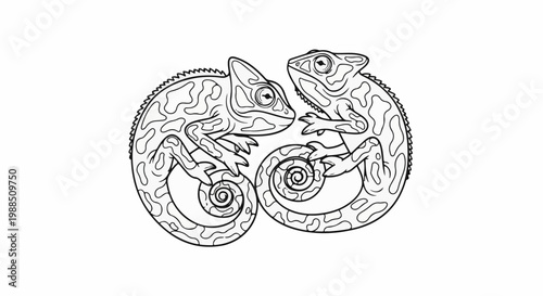 Two chameleons in outline form create a yin-yang like design