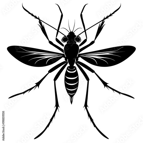 Detailed black silhouette of a mosquito with long legs, antennae, and transparent wings, showcasing the insect's anatomy and structure.