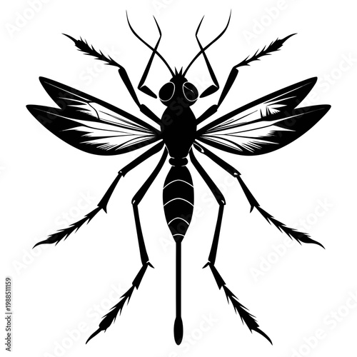 Detailed black silhouette of a mosquito with long legs, antennae, and transparent wings, showcasing the insect's anatomy and structure.