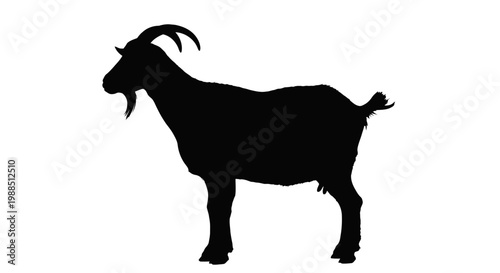 Cuadro en lienzo A black silhouette of a goat standing on a white background