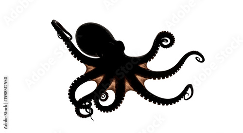 A minimalist vector graphic illustration of an octopus silhouette with tentacles on a white background