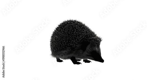 A black hedgehog with sharp quills standing on a white background