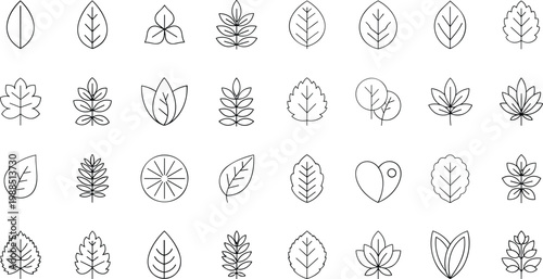 Collection of minimalist line icons featuring various leaf shapes and botanical symbols for nature and ecology concept vector.