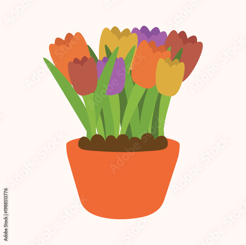 illustration of tulip flowers, ornamental plants, flower plantations