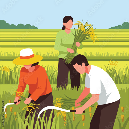 Three farmers harvesting golden rice stalks with sickles in a sprawling field