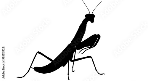 A minimalist black silhouette of a praying mantis on a white background