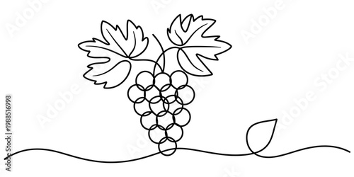 Minimalist single line art illustration of a ripe cluster of grapes with elegant vine leaves Vector, illustration