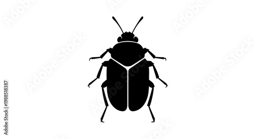 A minimalist black silhouette of a beetle on a white background