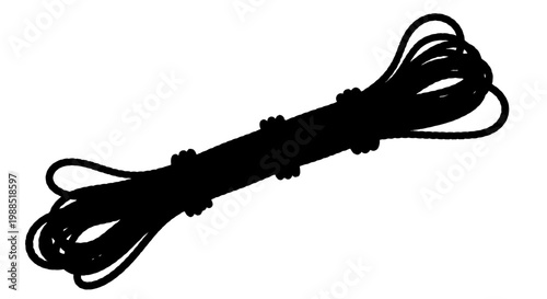 A black silhouette of a whip on a white background, representing a symbol of power and control.