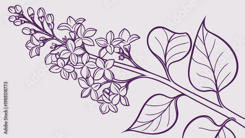 Delicate line drawing of a blooming lilac branch with leaves on a soft purple background.