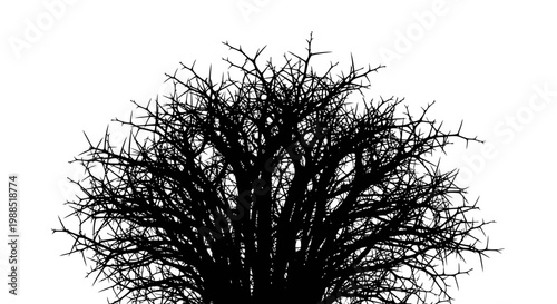 A minimalist vector graphic of a bare tree silhouette against a white background