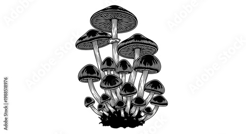 A black and white vector illustration of a cluster of mushrooms on a plain background