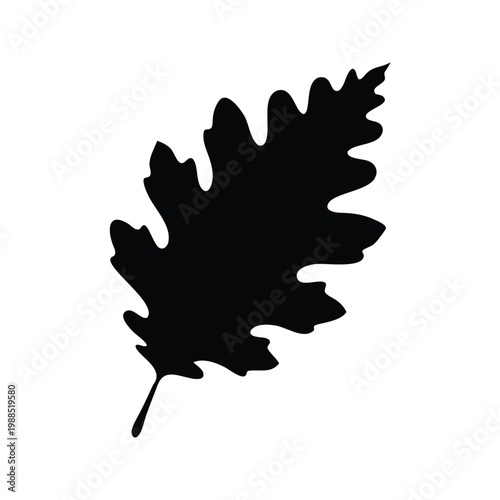 Black and white oak leaf silhouette vector illustration design, oak leaf silhouette vector illustration