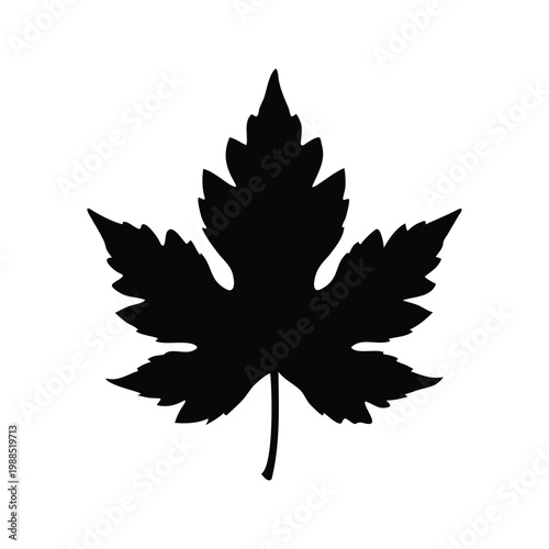 Silhouette of maple leaf with intricate details for autumn decoration silhouette vector illustration, palmate leaf silhouette vector illustration