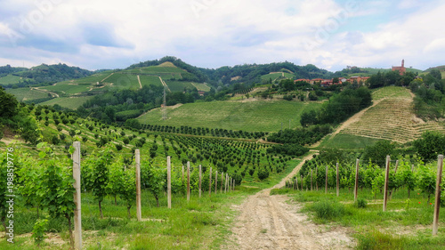 Landscapes of the Piedmontese Langhe and the vineyards in autumn, after the grape harvest to produce the famous wines