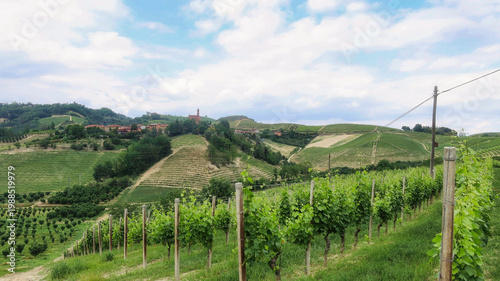 Landscapes of the Piedmontese Langhe and the vineyards in autumn, after the grape