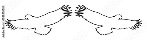Pair of Flying Eagle Outline Vector Graphics