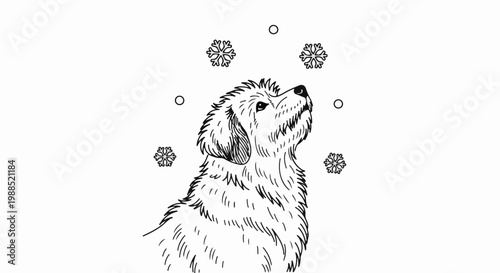 A fluffy dog looks up at falling snowflakes in this line art illustration