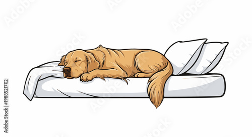Golden retriever sleeps soundly on a bed with two white pillows