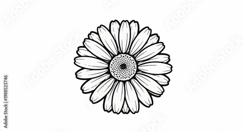 Black and white outline drawing of a daisy flower with detailed petals and center